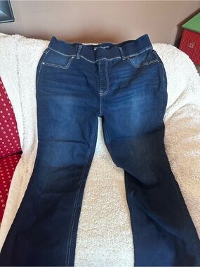 Terra & Sky Dark Blue Straight-Leg Jeans size 1x